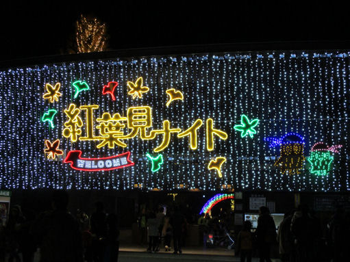 森林公園の紅葉見ナイト 自然イルミネーション さいたま大宮ぷらっと