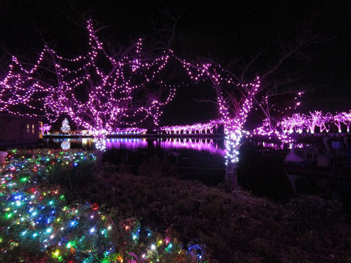 東武動物公園のイルミネーション。夜の割引入園料で楽しむ: さいたま大宮ぷらっと